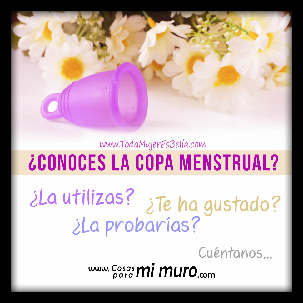 ¿Conoces la copa menstrual?