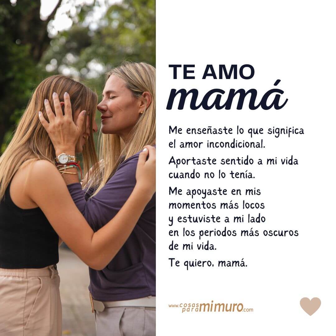 Te Amo Mamá Por Todo Lo Que Me Enseñaste Aportaste Y Apoyaste Cosas Para Mi Muro